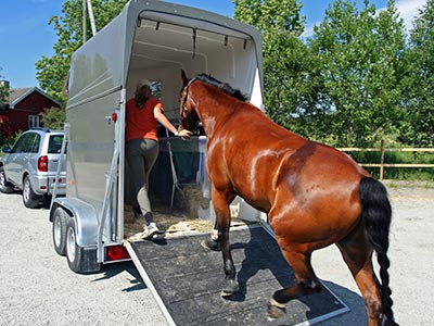 Woman leading horse into trailer