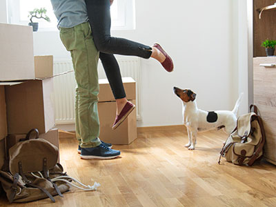 Two people's legs by a dog in a house with moving boxes