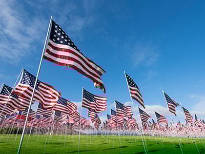 Field of American flags